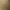 Un vase transparent contient un bouquet de fleurs composé de roses blanches, de branches de lilas et de feuillage vert
